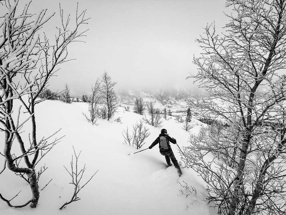Marie svinger seg nedover bjørkeskogen.