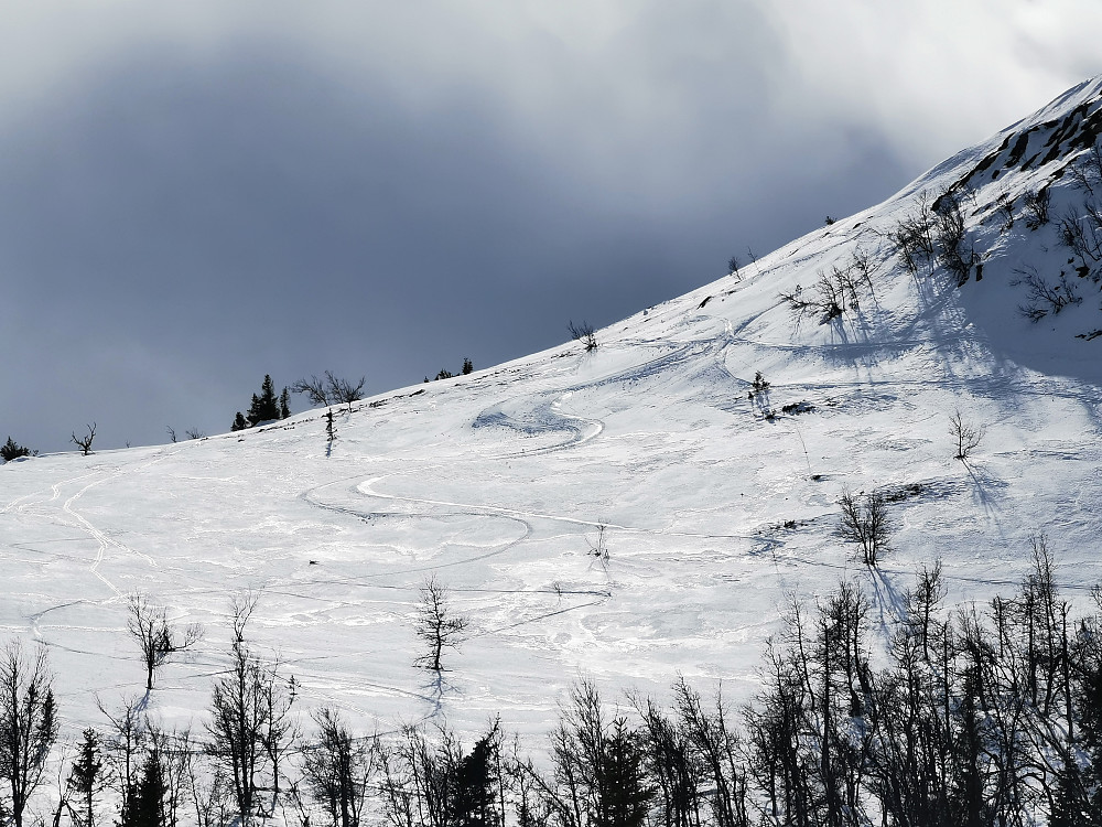 Morsomme svinger ned fra Kvasshovda. Prøvde to ulike nedkjøringer fra toppen. Østsiden (på bildet) hadde best snø.