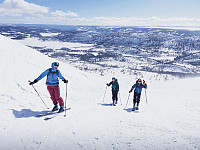 LarsStorheim_20210413_6075ab3a7ac83.jpg