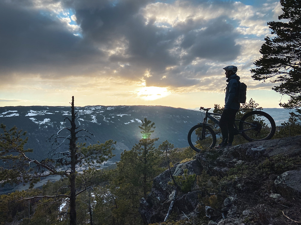 Cowboy i solnedgang.