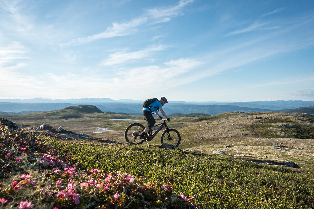 Blir aldri lei stien bortover ryggen på Smylifjell.