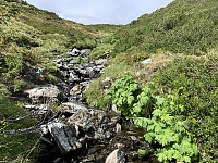 torelie_20200711_5f0a24b0293bb.jpeg