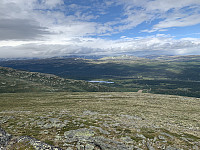 torelie_20200712_5f0b2da03a024.jpeg