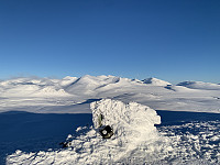 torelie_20210131_6016f116dd46d.jpeg