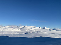 torelie_20210131_6016f118e2cd6.jpeg