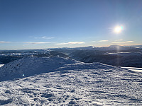 torelie_20210131_6016f11d3da54.jpeg