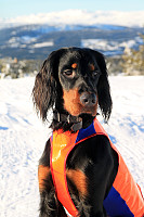 Atomsilda_20150214_54df90e1e87d2.jpg