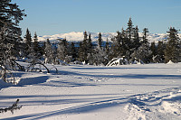 Atomsilda_20150214_54df90f2577fa.jpg