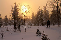 Atomsilda_20150225_54ee2035ad9e7.jpg
