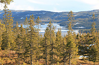 Atomsilda_20150429_55412d9d7b6ff.jpg