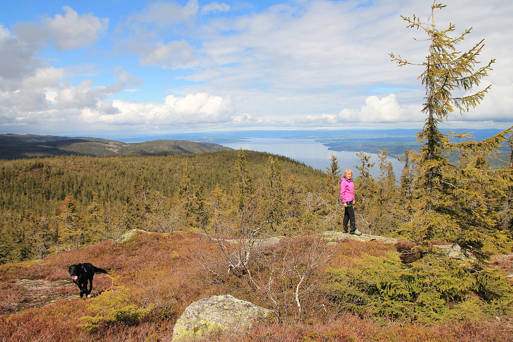 Herlig utsikt nordover Mjøsa. Ikke mange plasser her rundt Mjøsa man har slik utsikt. 