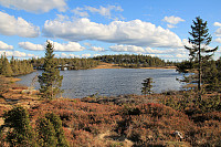 Atomsilda_20150602_556e115eacede.jpg