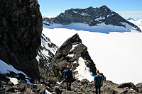 Atomsilda_20150627_558f0b80c7fe3.jpg