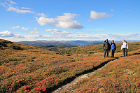 Atomsilda_20150926_5606beeaebea3.jpg