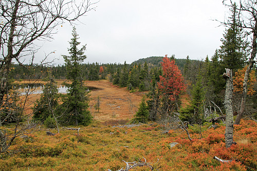 Krokvassfjellet midt i bildet