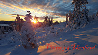 Atomsilda_20160116_569a6e50adfe0.jpg
