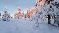 Atomsilda_20160116_569a6e5b7b6ed.jpg