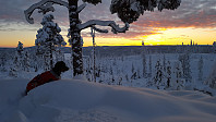 Atomsilda_20160116_569a6e65e4c5b.jpg