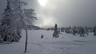 Atomsilda_20160303_56d879fcca9a4.jpg