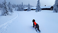 Atomsilda_20160303_56d87a08e73fa.jpg
