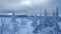 Atomsilda_20160303_56d87a13bf2de.jpg