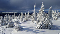 Atomsilda_20160303_56d87a3590668.jpg