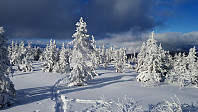 Atomsilda_20160303_56d87a4308b78.jpg