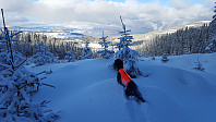 Atomsilda_20160303_56d87a4edc6b8.jpg