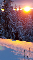 Atomsilda_20160308_56df1d535fd66.jpg