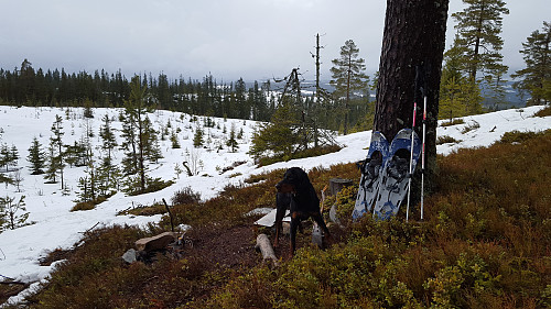 Vårlig og råtten snø på Skonhovd