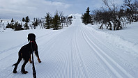 Atomsilda_20160403_57015475757e7.jpg