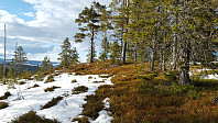 Atomsilda_20160406_570554f3e662f.jpg