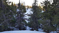 Atomsilda_20160412_570d53ae5f361.jpg