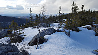 Atomsilda_20160425_571e7b5d90f7b.jpg