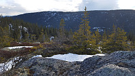 Atomsilda_20160425_571e7b6930b79.jpg