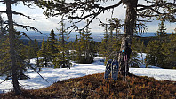 Atomsilda_20160425_571e7b7415d17.jpg