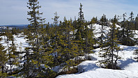 Atomsilda_20160506_572ce71dde148.jpg