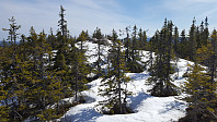 Atomsilda_20160506_572ce72a0fe73.jpg