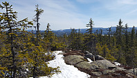 Atomsilda_20160506_572ce7429cf33.jpg