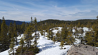 Atomsilda_20160506_572ce75315883.jpg