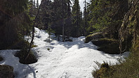 Atomsilda_20160514_57375b3edfe9a.jpg