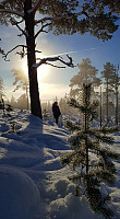 Atomsilda_20161112_58275eca2b276.jpg