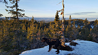 Atomsilda_20170102_586a6c2537beb.jpg