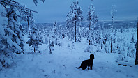 Atomsilda_20170209_589c9c19ace74.jpg