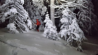 Atomsilda_20180117_5a5fa5bb53b05.jpg