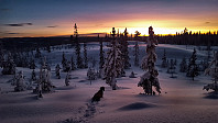 Atomsilda_20180202_5a74aef3dd585.jpg