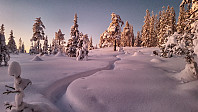 Atomsilda_20180202_5a74aefc8c1fe.jpg