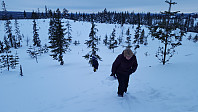 Atomsilda_20180302_5a999876e6ef7.jpg