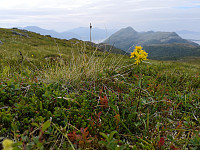 Atomsilda_20180715_5b4b4d8031ac2.jpg