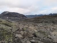 Atomsilda_20180902_5b8c4bb92d503.jpg